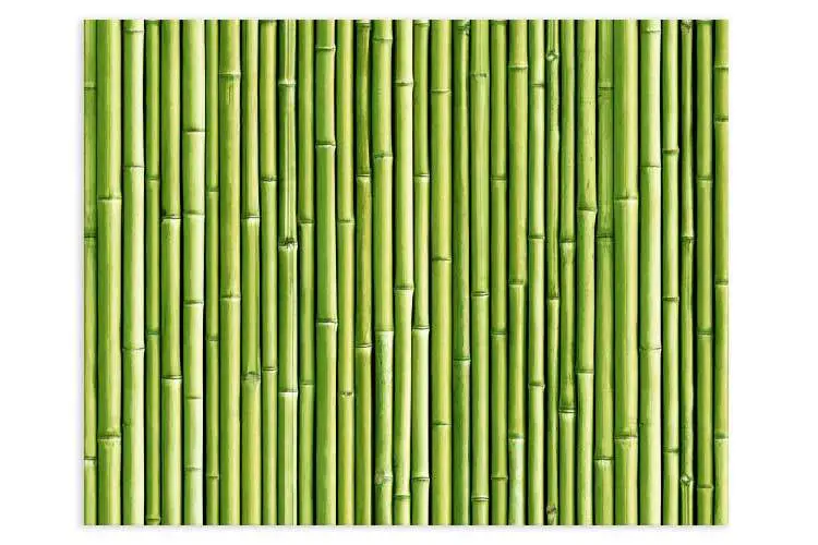 Panel cocina Bambú - Imagen 6