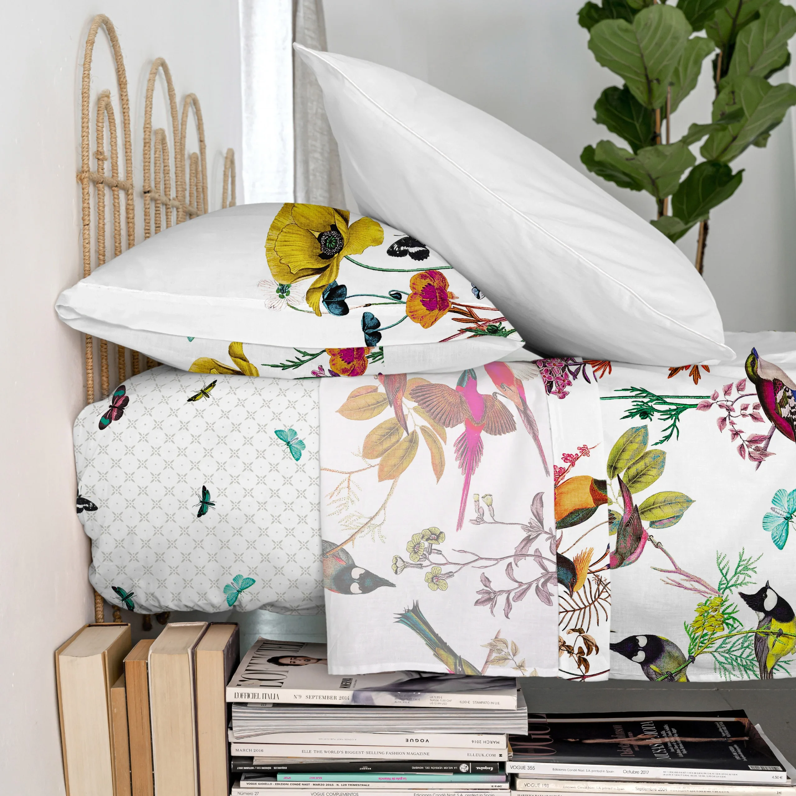 Birds of paradise Sábana