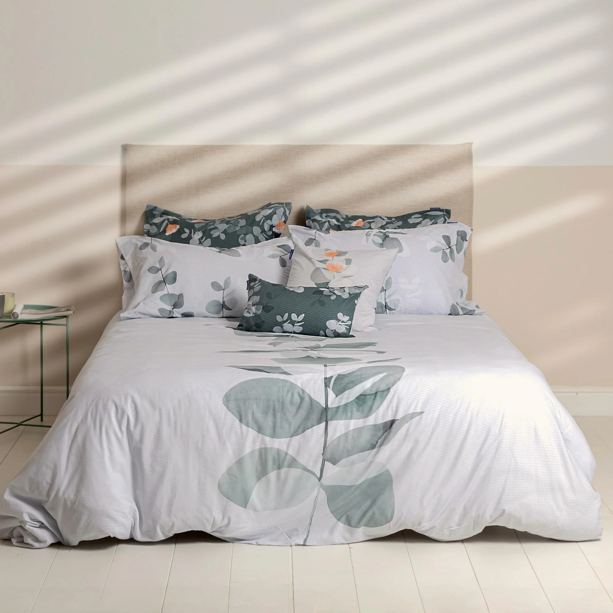 Corymbia Funda nórdica - Imagen 3