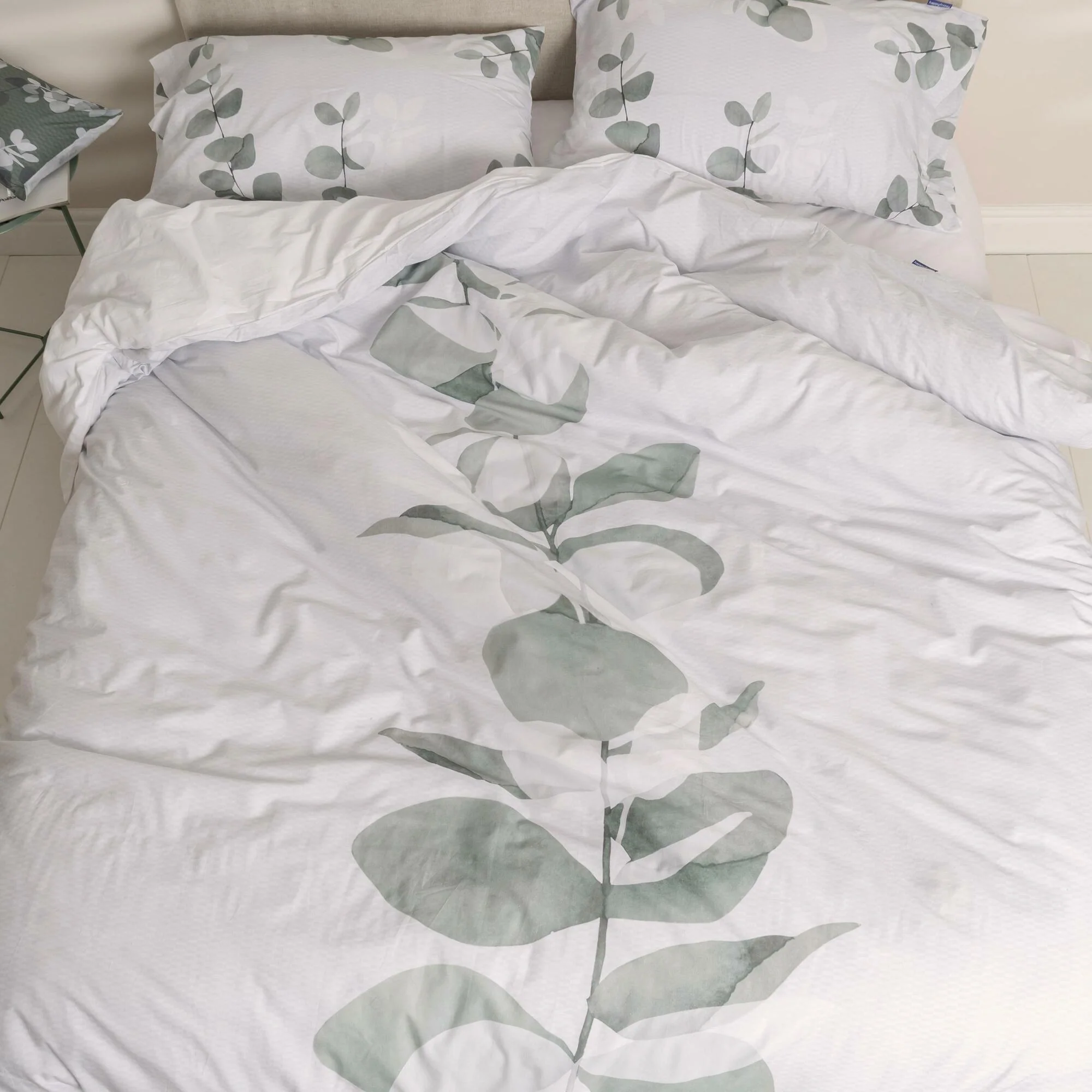 Corymbia Funda nórdica - Imagen 4