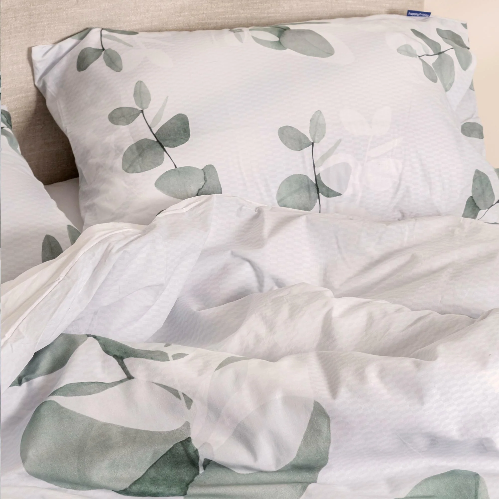 Corymbia Funda nórdica - Imagen 2